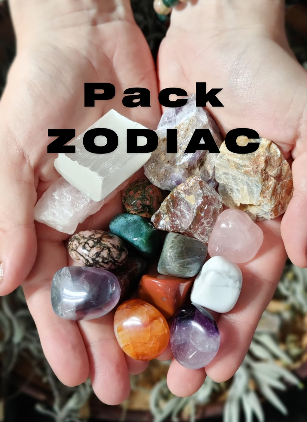PACK ZODIAC