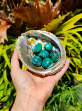 Charger l&#39;image dans la galerie, Chrysocolle
