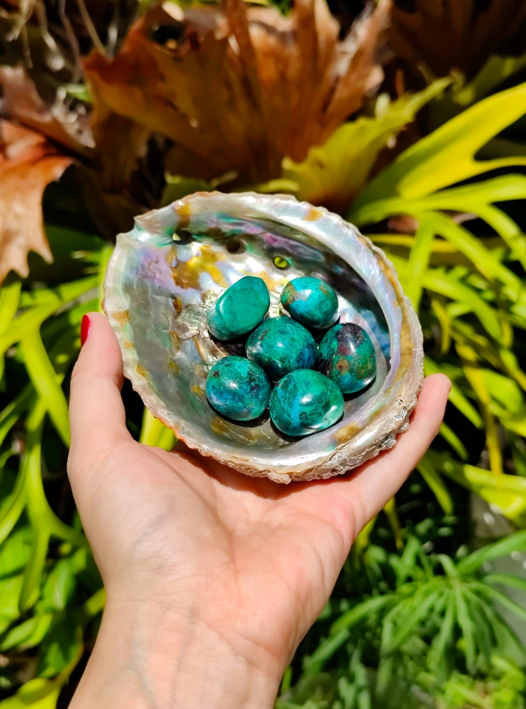 Chrysocolle