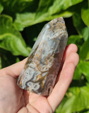 Charger l&#39;image dans la galerie, Jaspe druzy (pointe) D

