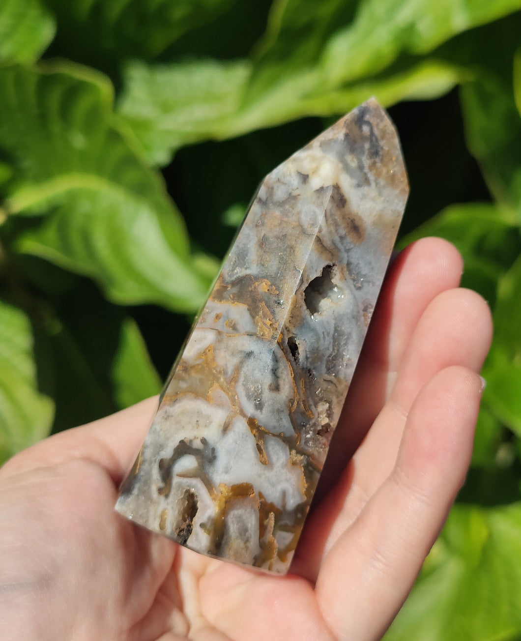 Jaspe druzy (pointe) D